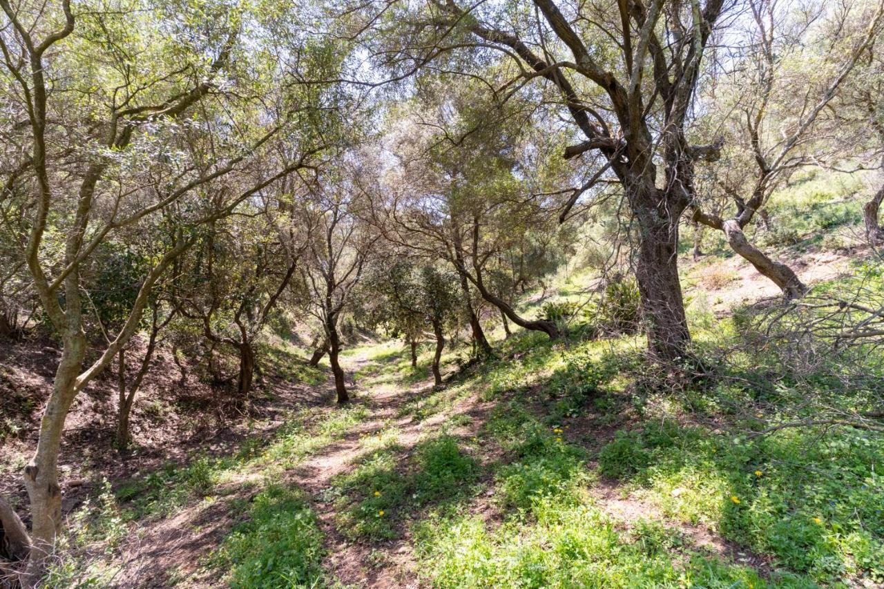 Finca Sta Teresa, Casa Grande Estepona Buitenkant foto