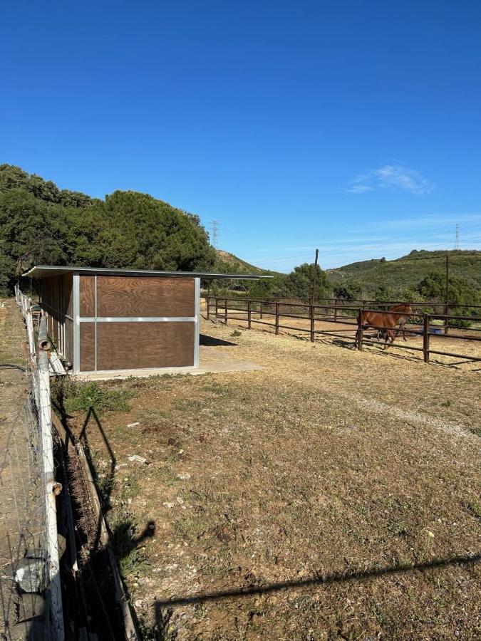 Finca Sta Teresa, Casa Grande Estepona Buitenkant foto