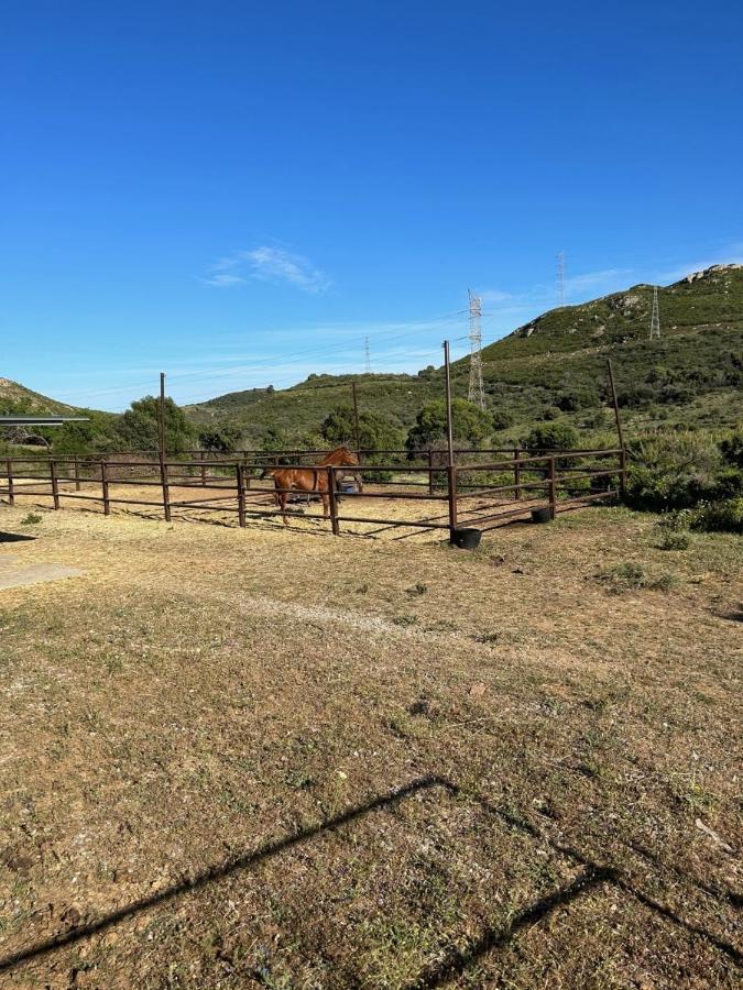 Finca Sta Teresa, Casa Grande Estepona Buitenkant foto
